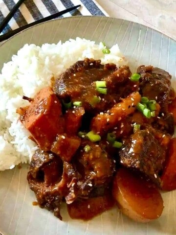 Korean braised short ribs and root vegetables over rice.