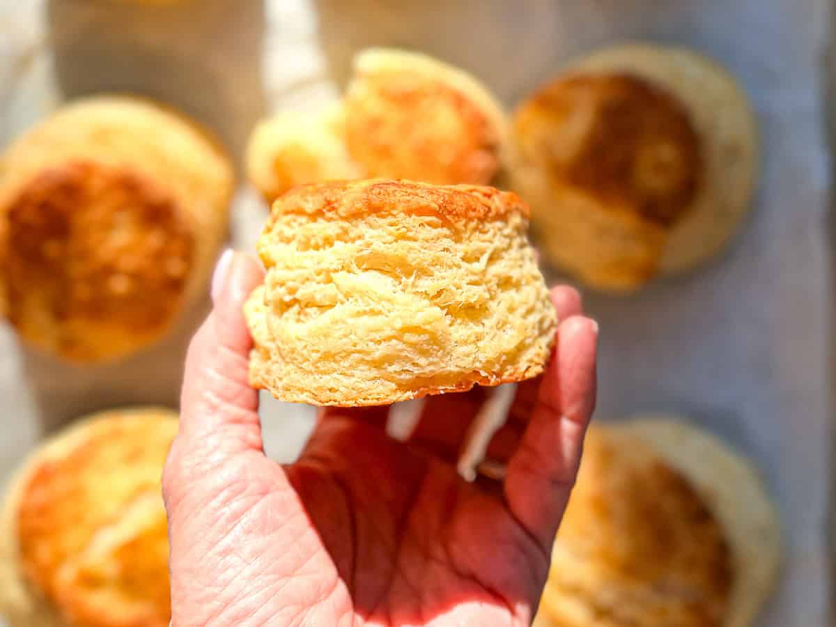 Hand holding a flaky buttermilk biscuit.