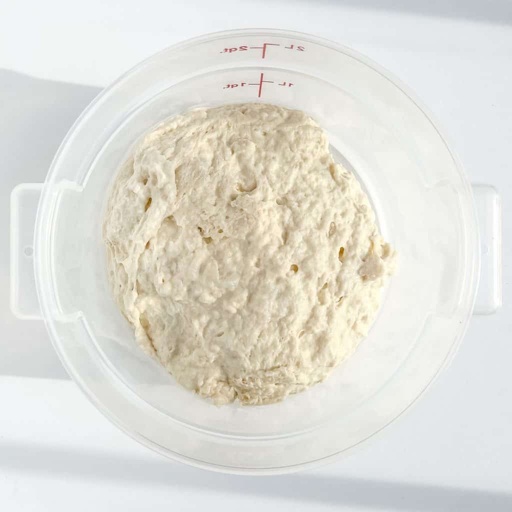 Mixed bread dough ingredients in a plastic container.