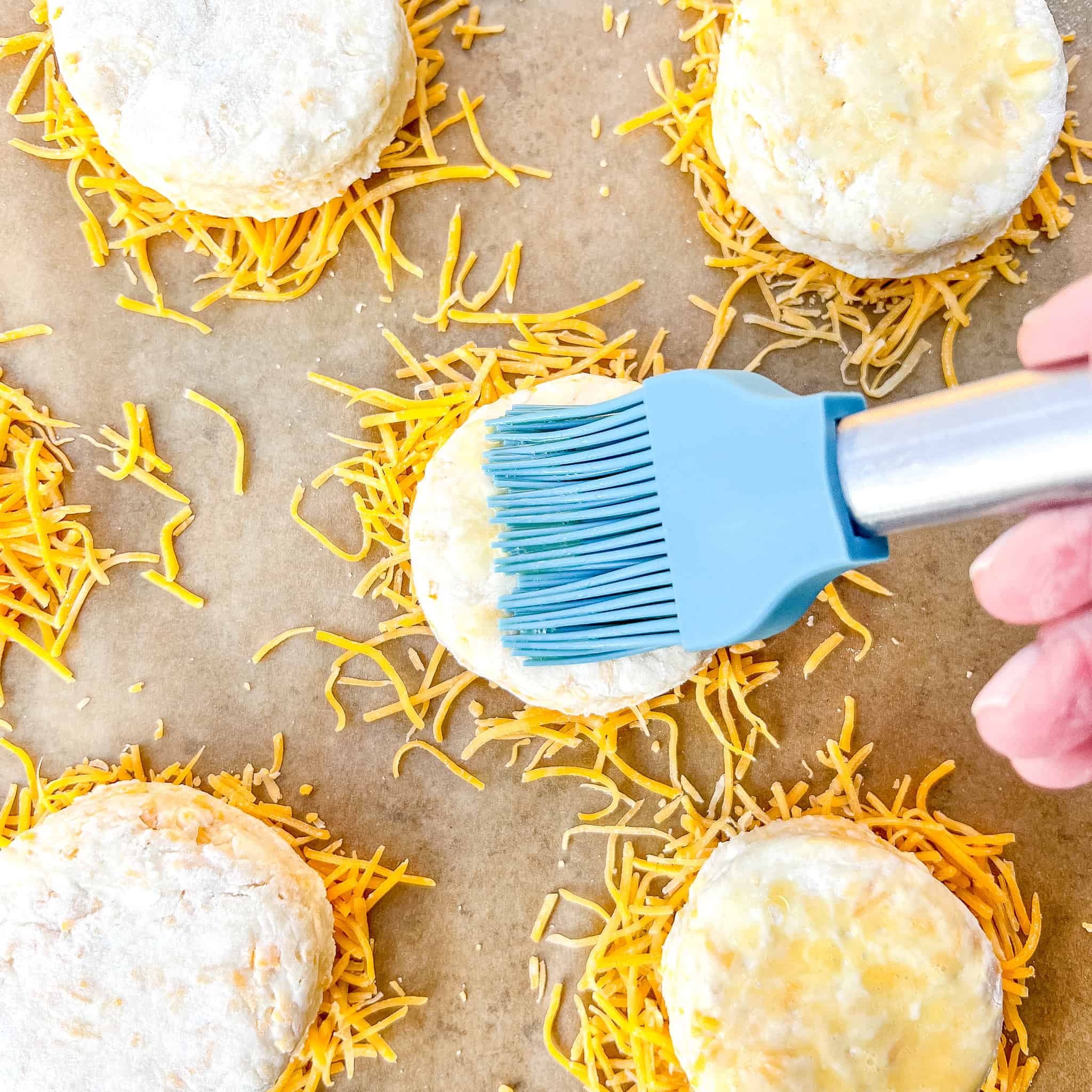 Egg washing biscuits on a pile of cheese.