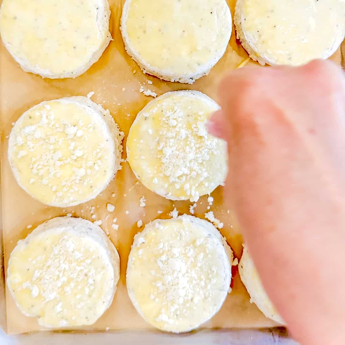 Sprinkling grated romano cheese on top of biscuits.
