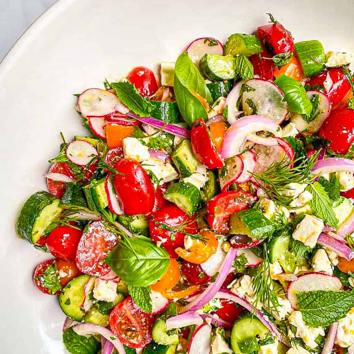cucumber and tomato greek salad on a white plate.