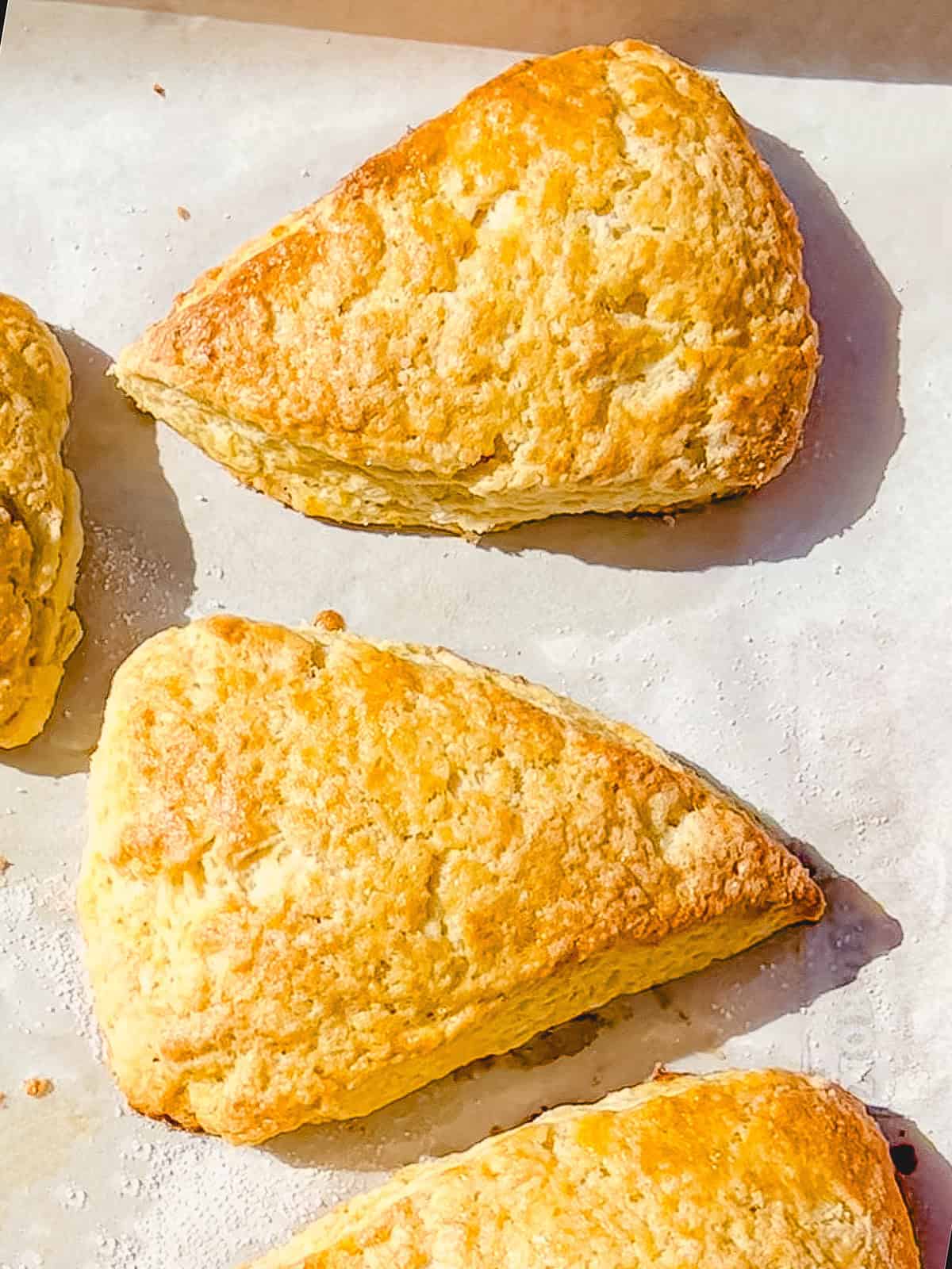 Unglazed scones on a parchment paper covered sheet pan.