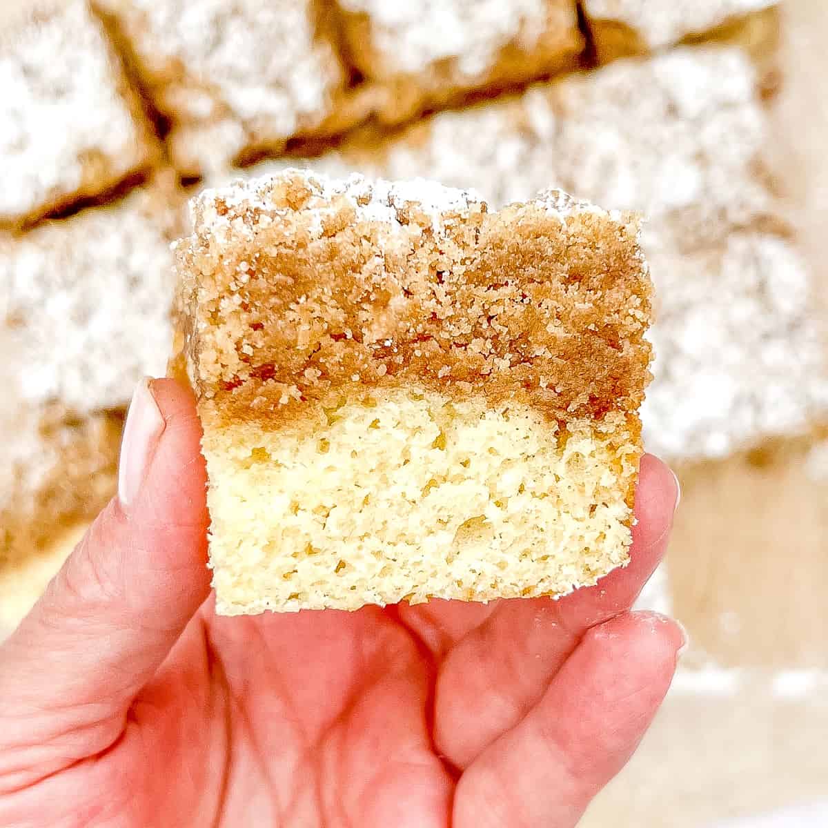 holding a piece of new jersey crumb cake with hand.