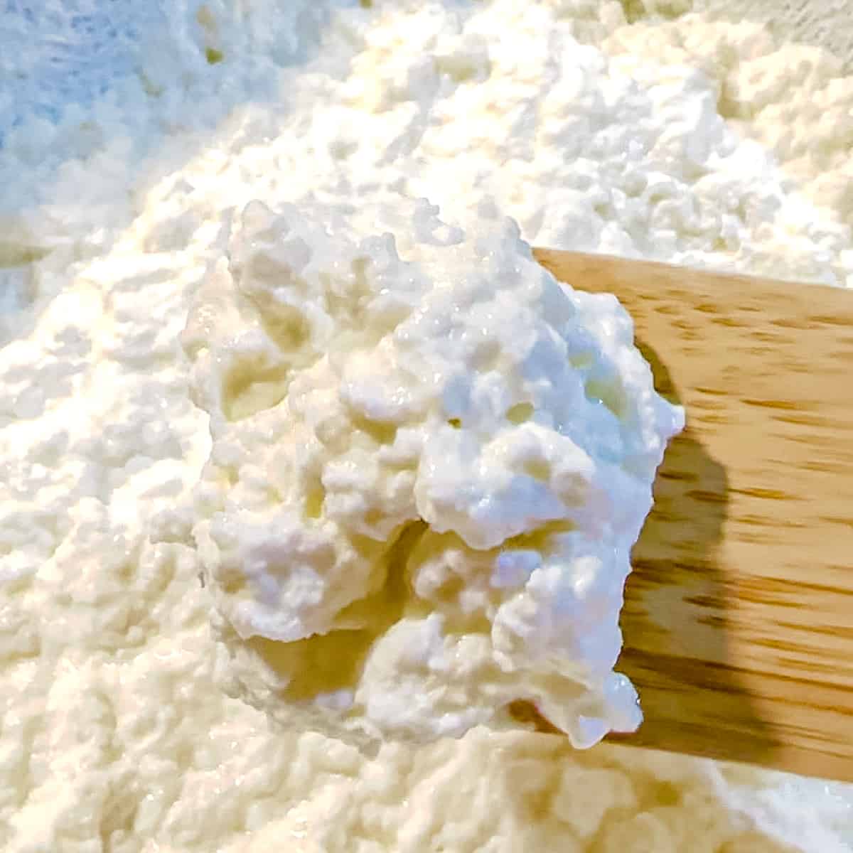 a scoop of fresh homemade ricotta on a wooden spatula.