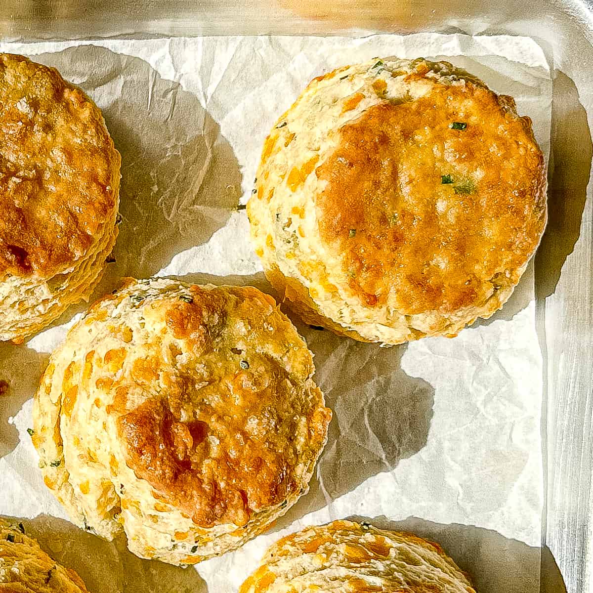 closeup of a cheddar chive biscuit.