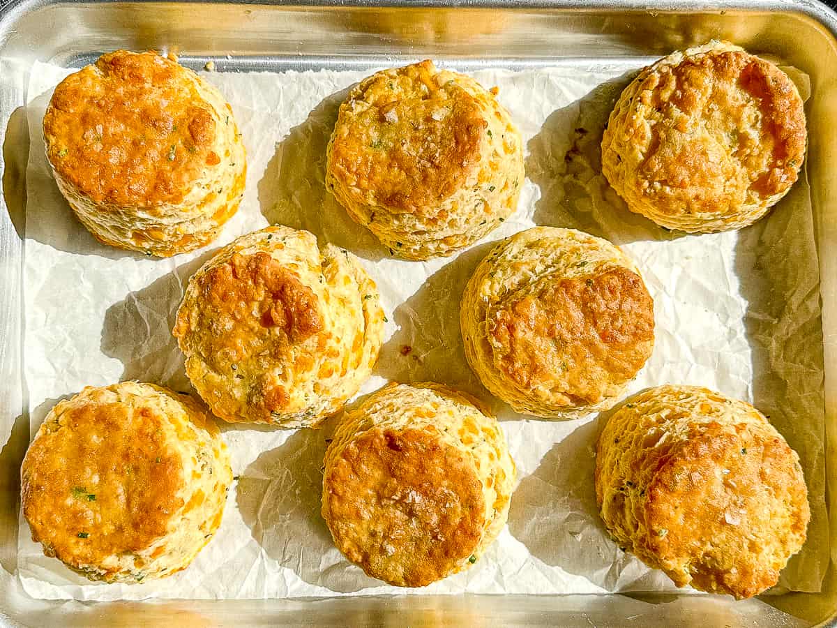 horizontal view of a tray of cheddar chive biscuits.