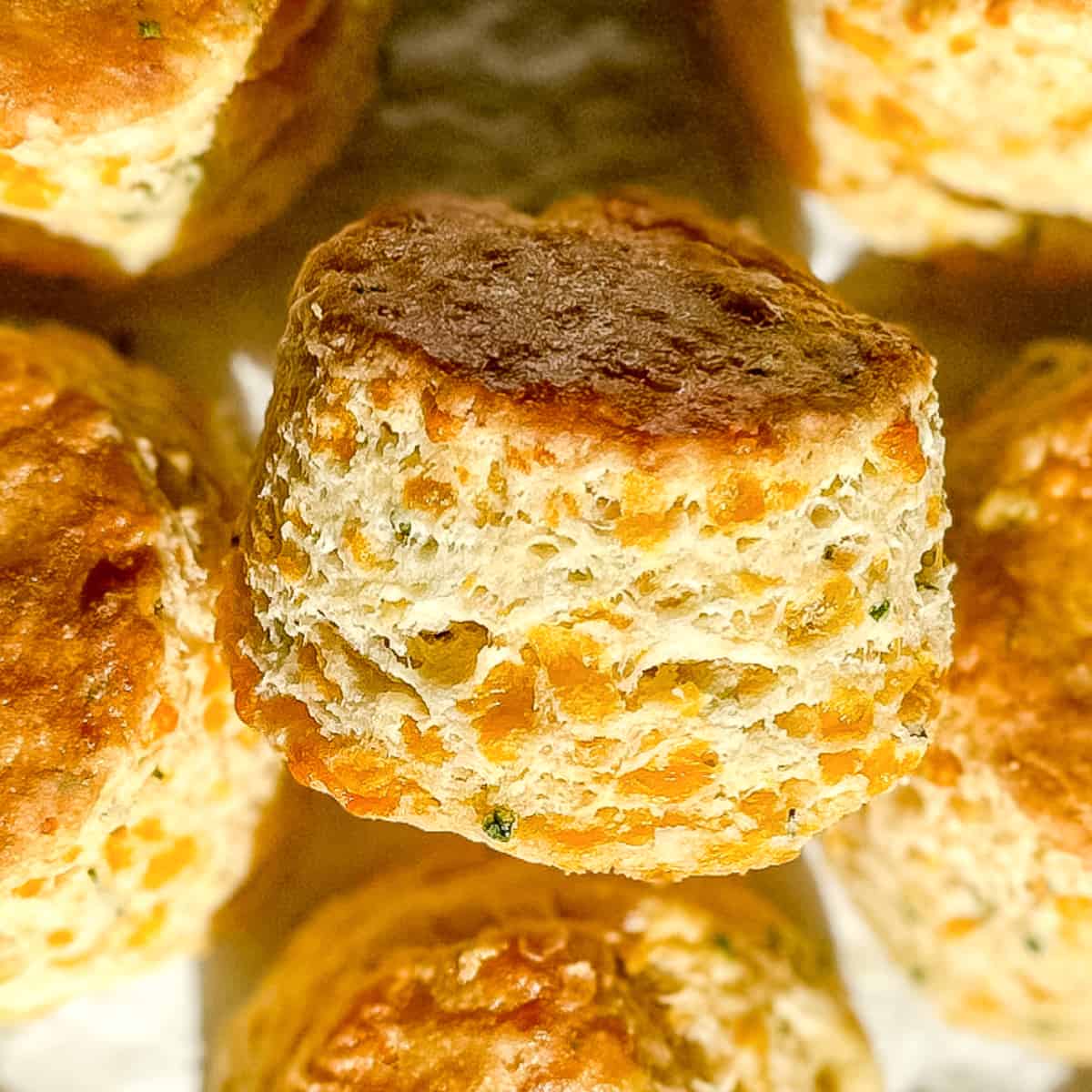 square pic of cheddar chive biscuit.