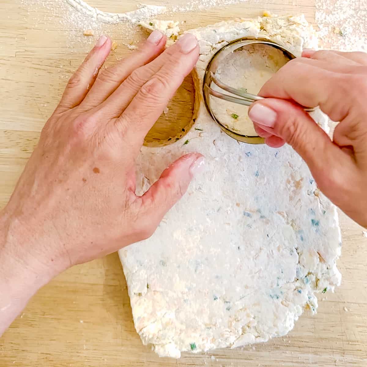 using a biscuit cutter to cut out a cheddar chive biscuit.