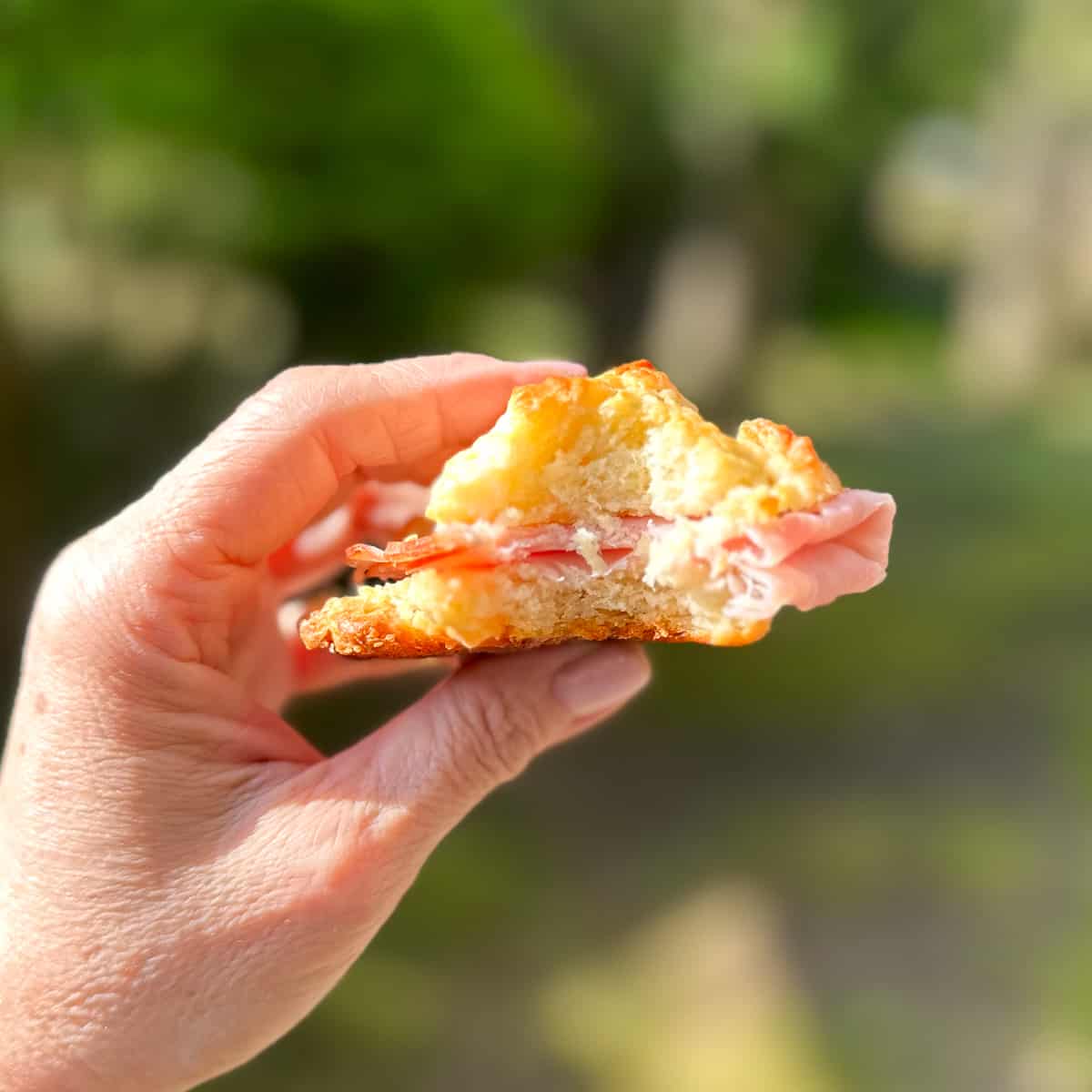 hand holding a biscuit and ham sandwich.