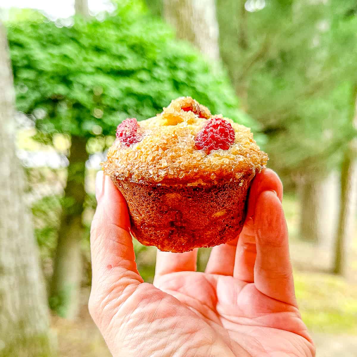 Holding a raspberry banana muffin in my hand in front of trees.