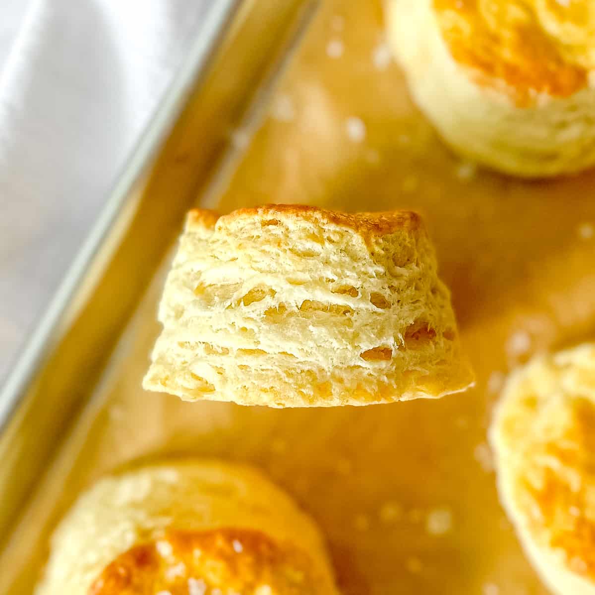 A flaky buttermilk biscuit on a sheet pan.