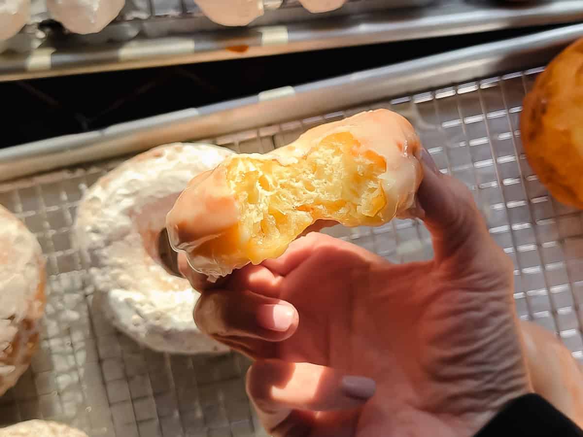 Hand holding a cake doughnut with a bite taken out.