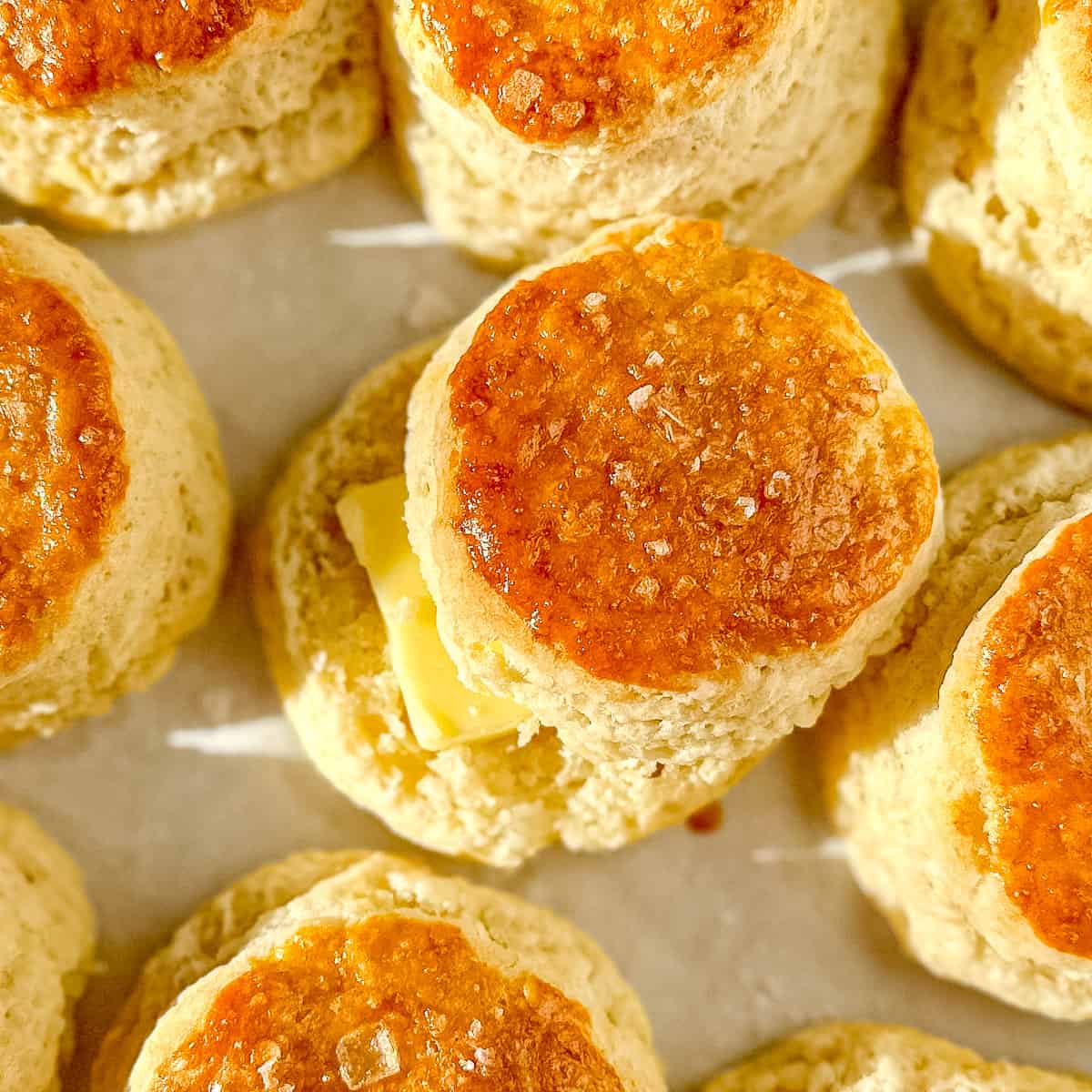 5 ingredient cream biscuits, one with butter.
