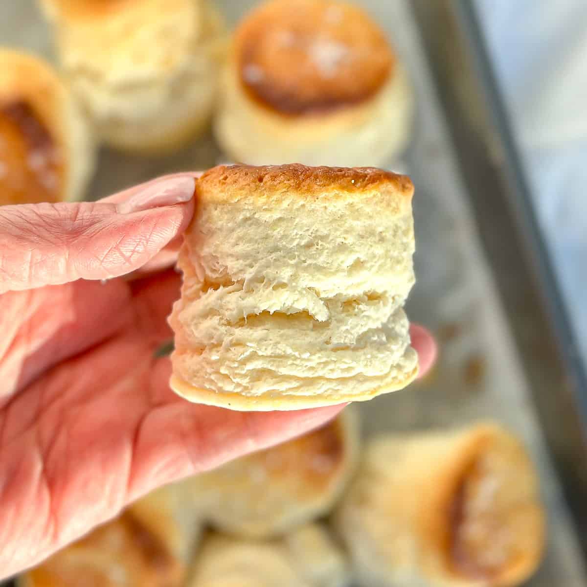 Close-up of a flaky and fluffy two ingredient biscuit being held in a hand.
