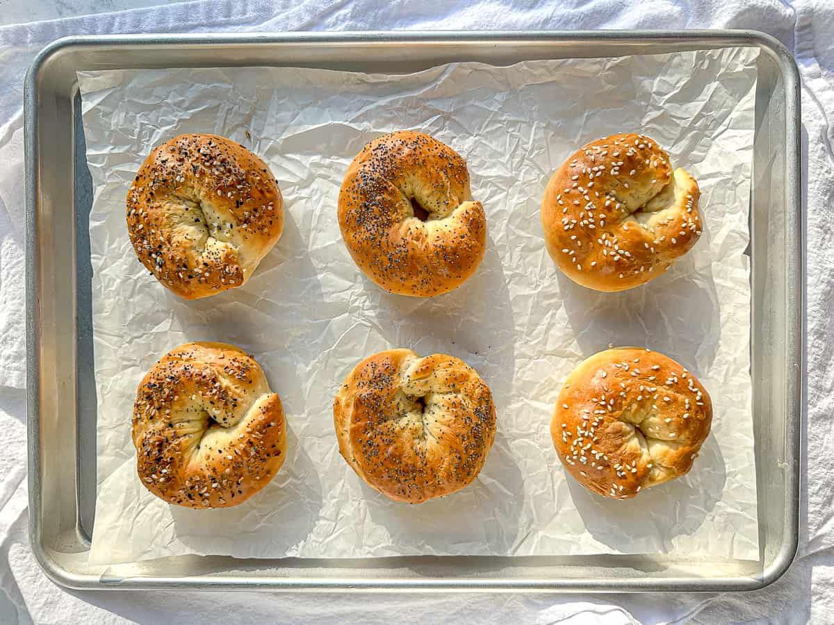 Six 2 ingredient bagels on a parchment lined baking sheet.