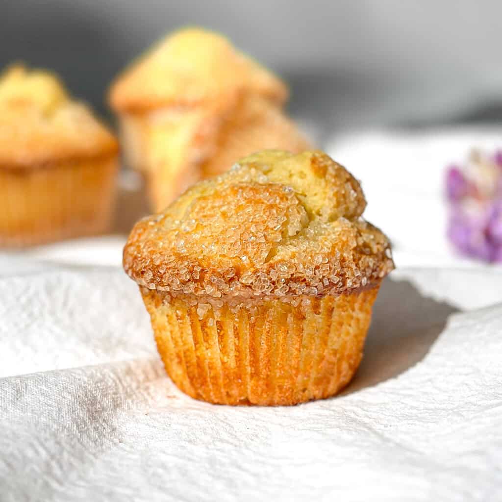 Basic buttermilk muffins on a white background.