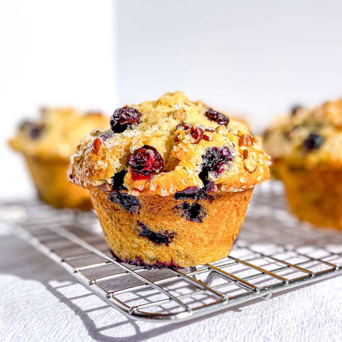 Blueberry muffin on a wire rack.