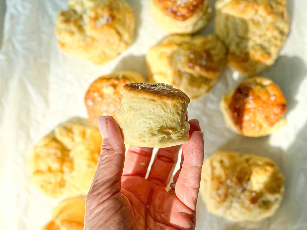 Rolled and cut out two ingredient biscuit in the author's hand.