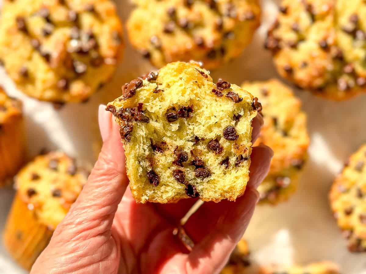 Author holding a chocolate chip muffin showing the inside texture.