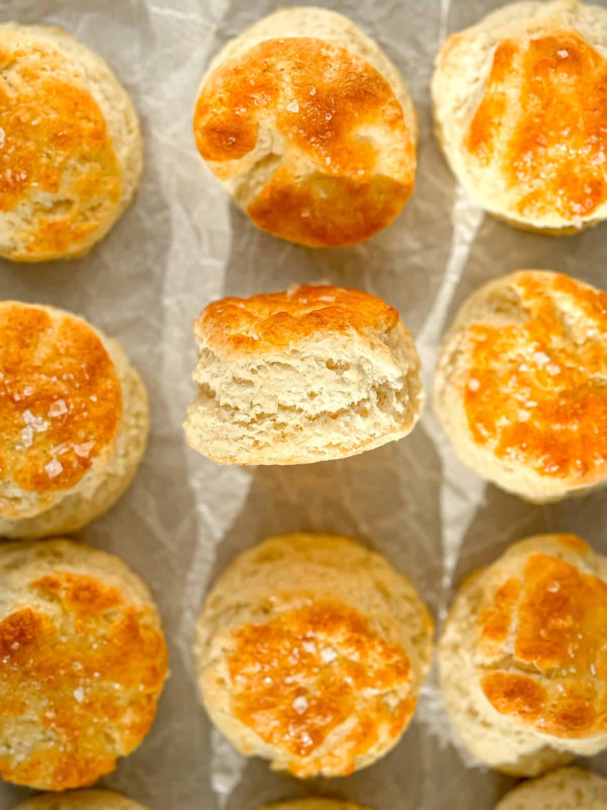 Side view of quick and easy food processor biscuits on parchment paper.