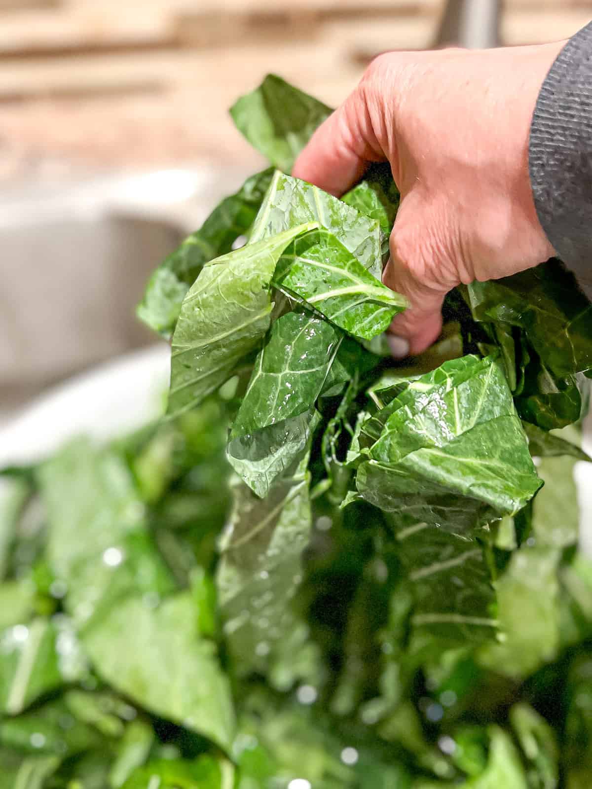 Washing collard greens.