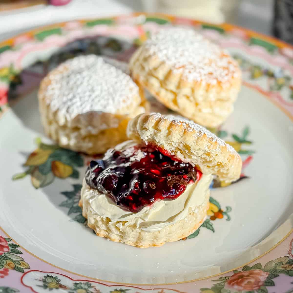 British cream scone with clotted cream and jam on a floral plate.