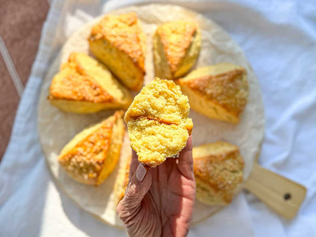 Author's hand holding a buttermilk scone that has been split open to show the fluffy interior.