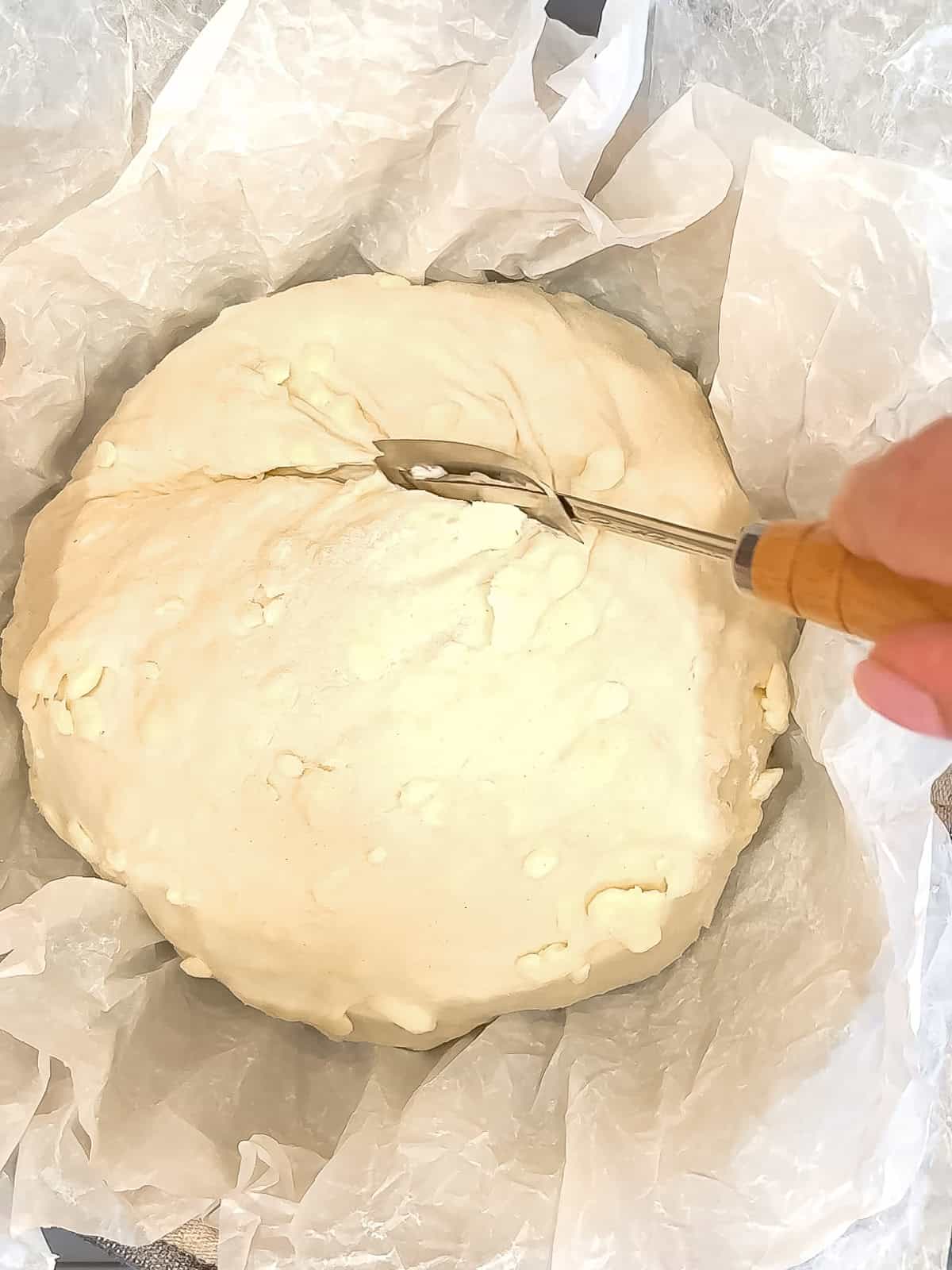 Using a bread lame to score a loaf of laminated no knead bread.
