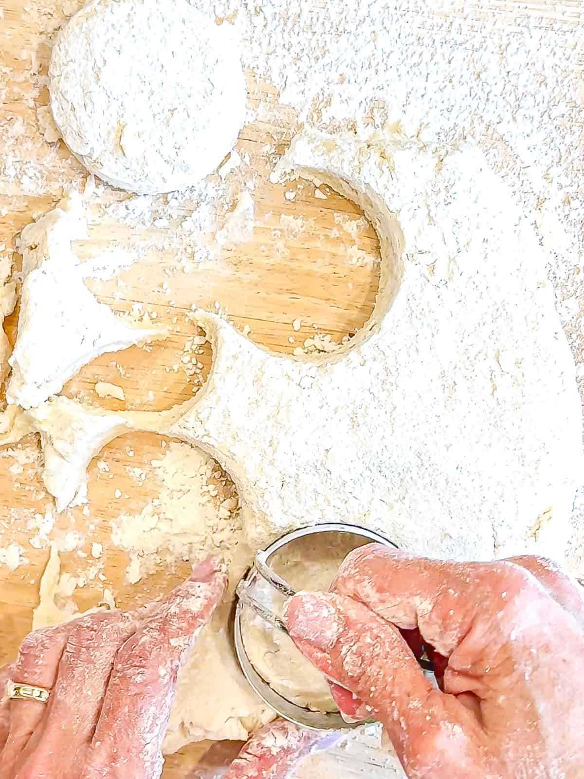 Using a biscuit cutter to cut out rounds from a biscuit dough.