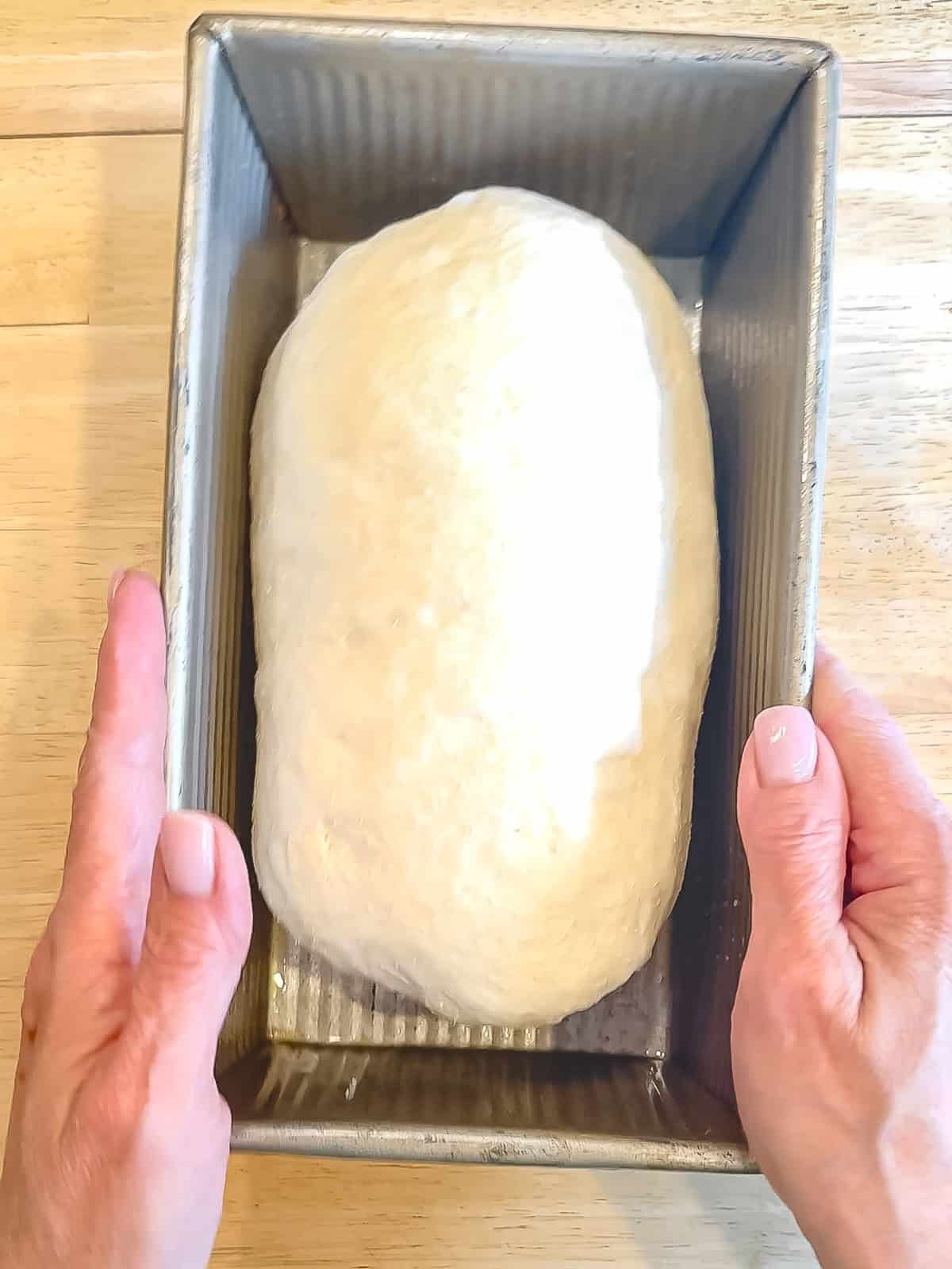 Bread dough and a loaf pan before rising.