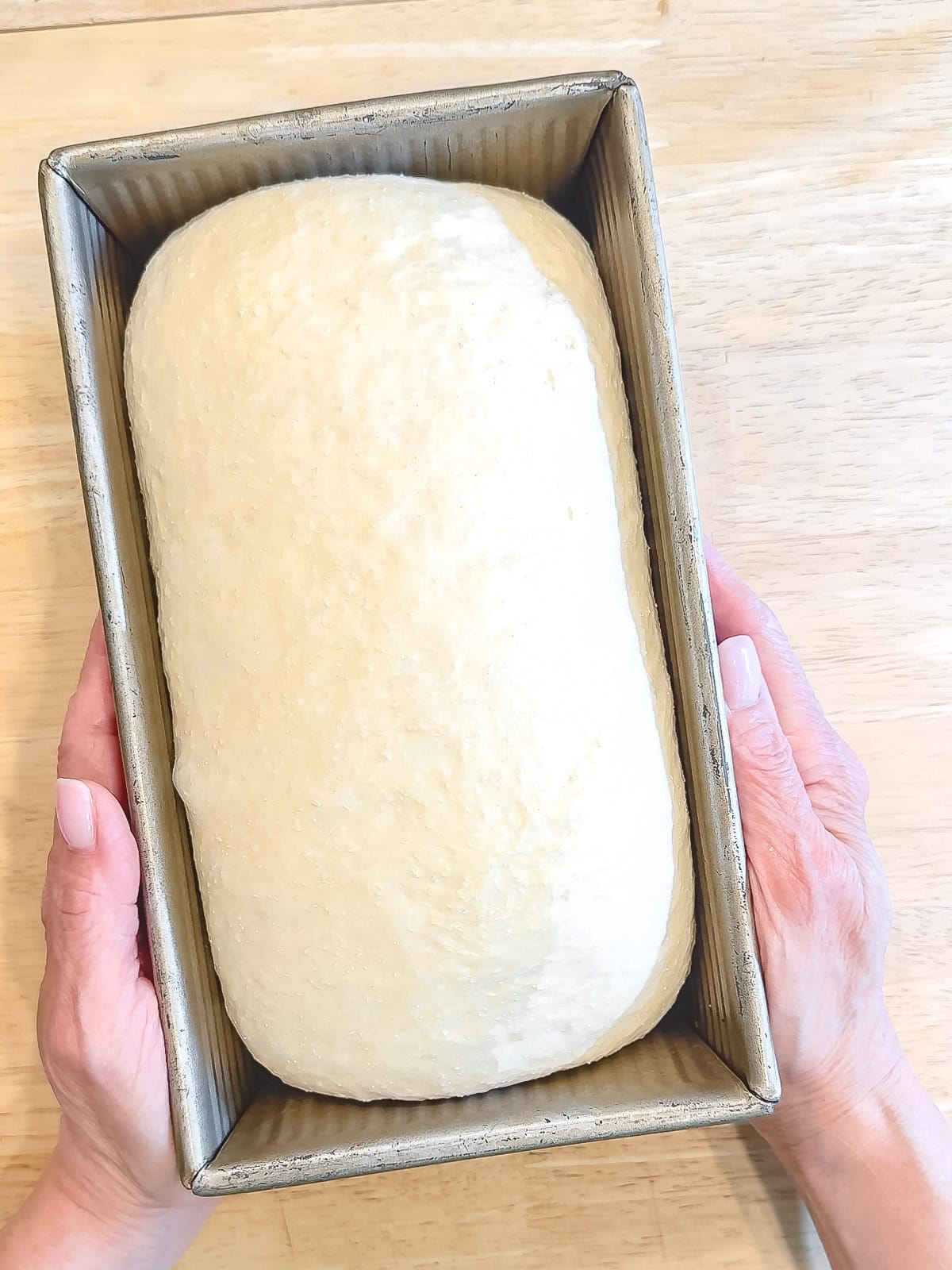 Fully risen bread dough in a loaf pan.