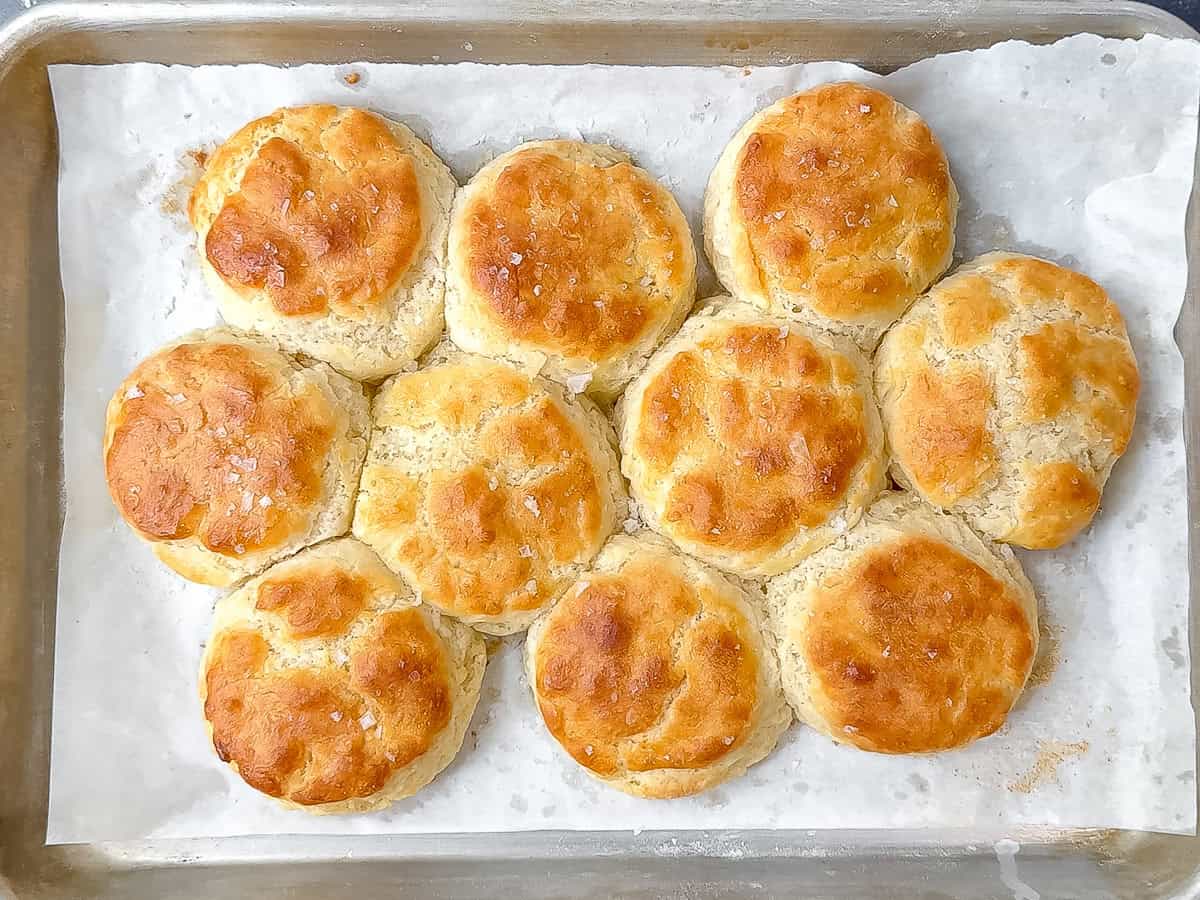 Buttermilk biscuits on a parchment paper lined sheet pan.