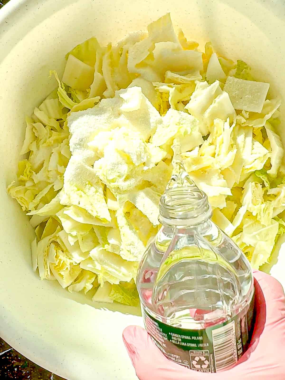 Adding bottled water to salted kimchi to brine it.