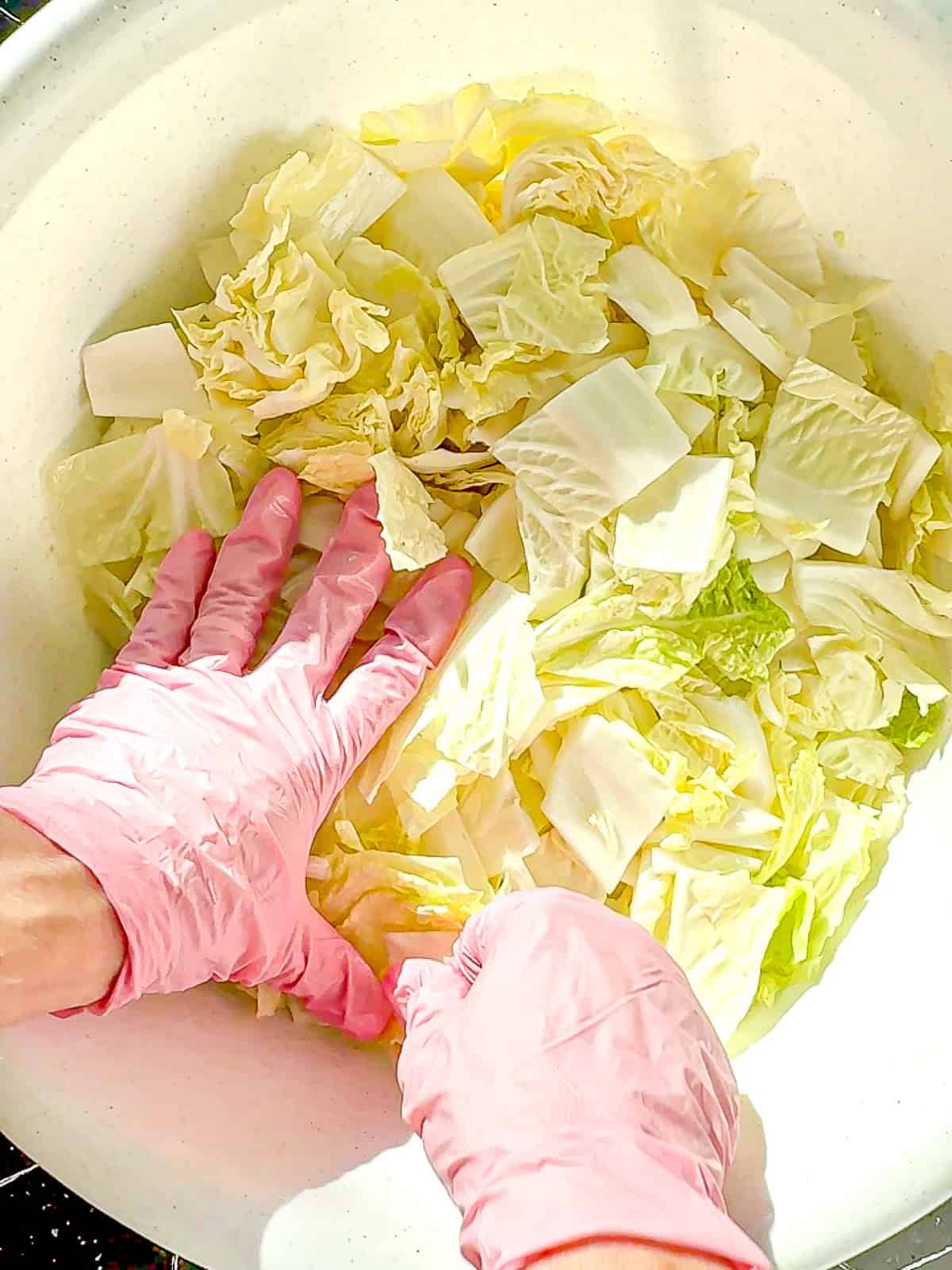 Pressing salted cabbage down beneath water to allow it to brine.