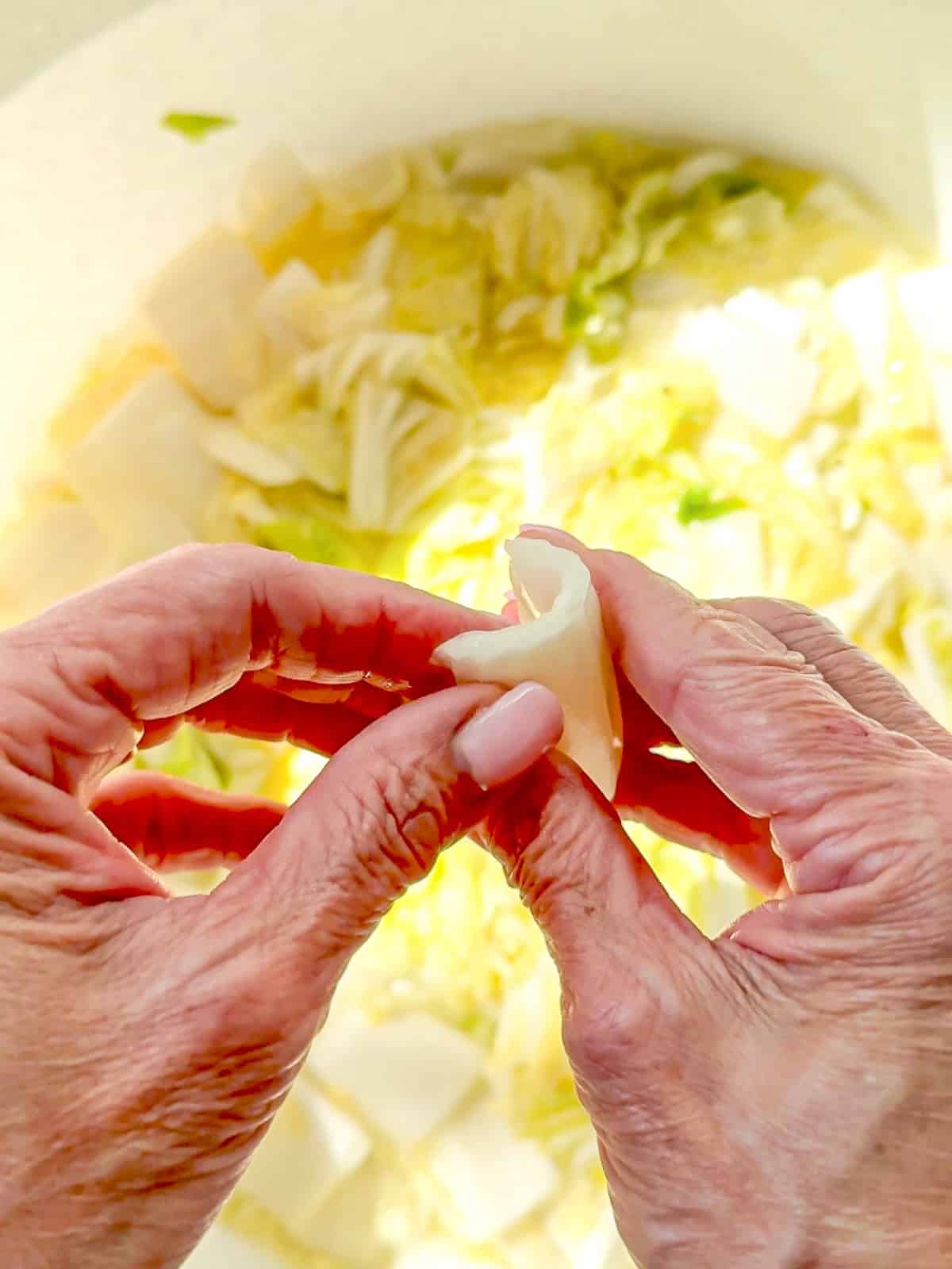 Bending a piece of cabbage to see if it is salted enough to make kimchi.