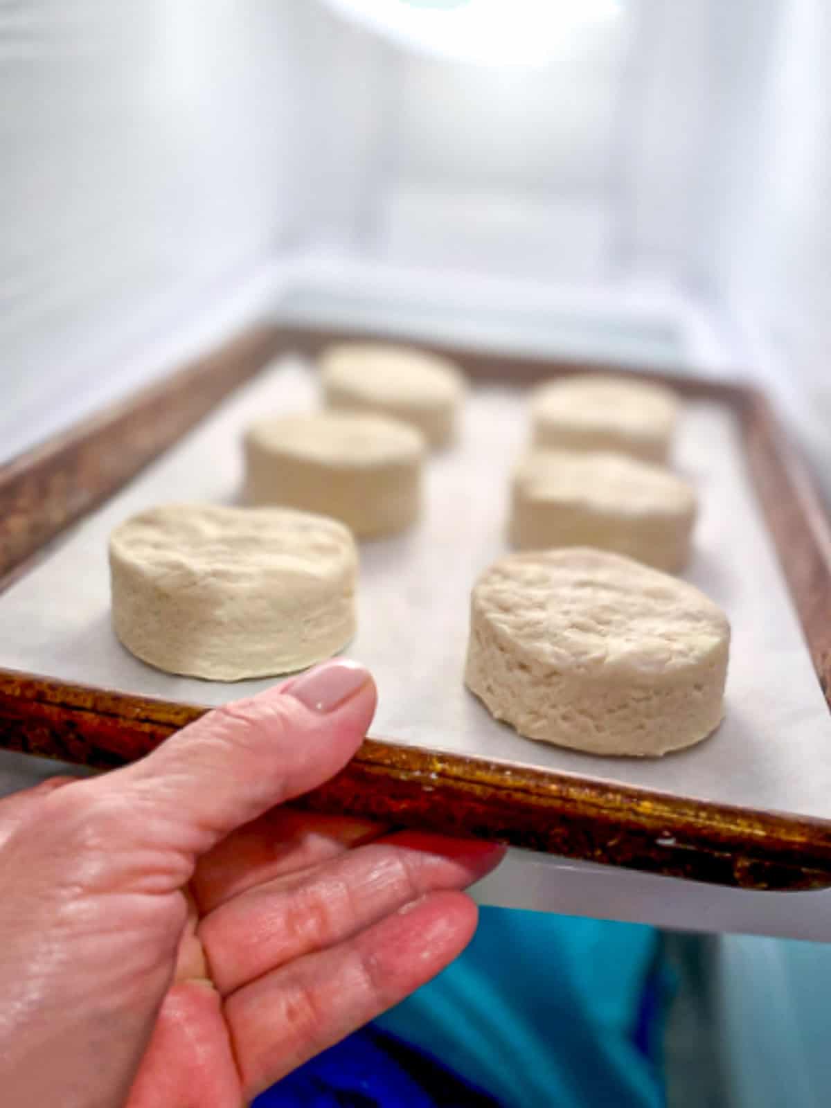 Placing biscuits into the freezer.