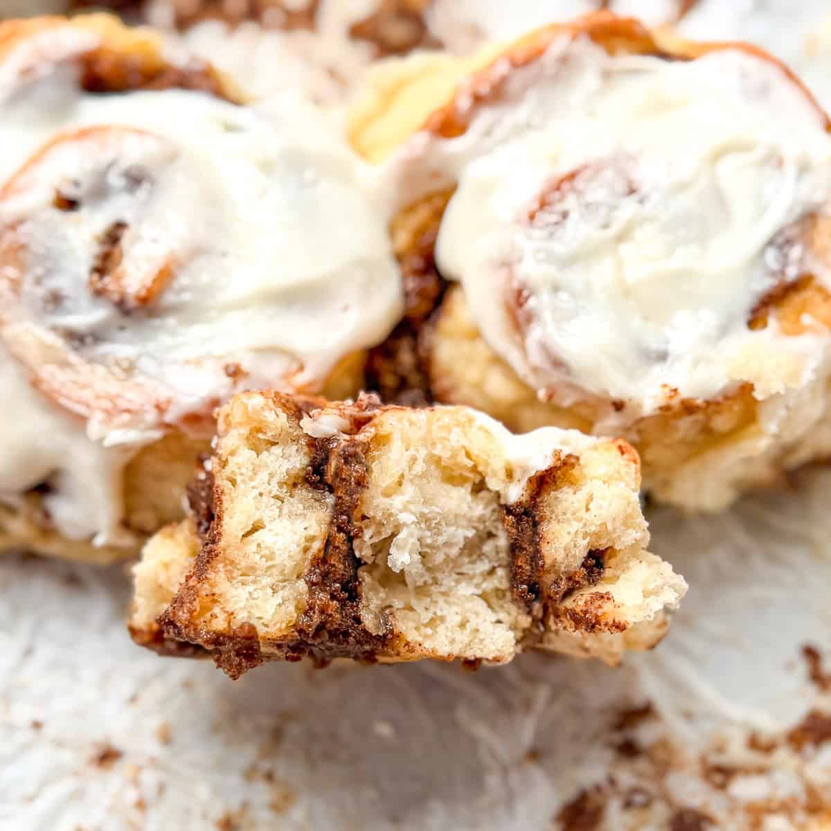 Cut view of a cinnamon roll biscuit.