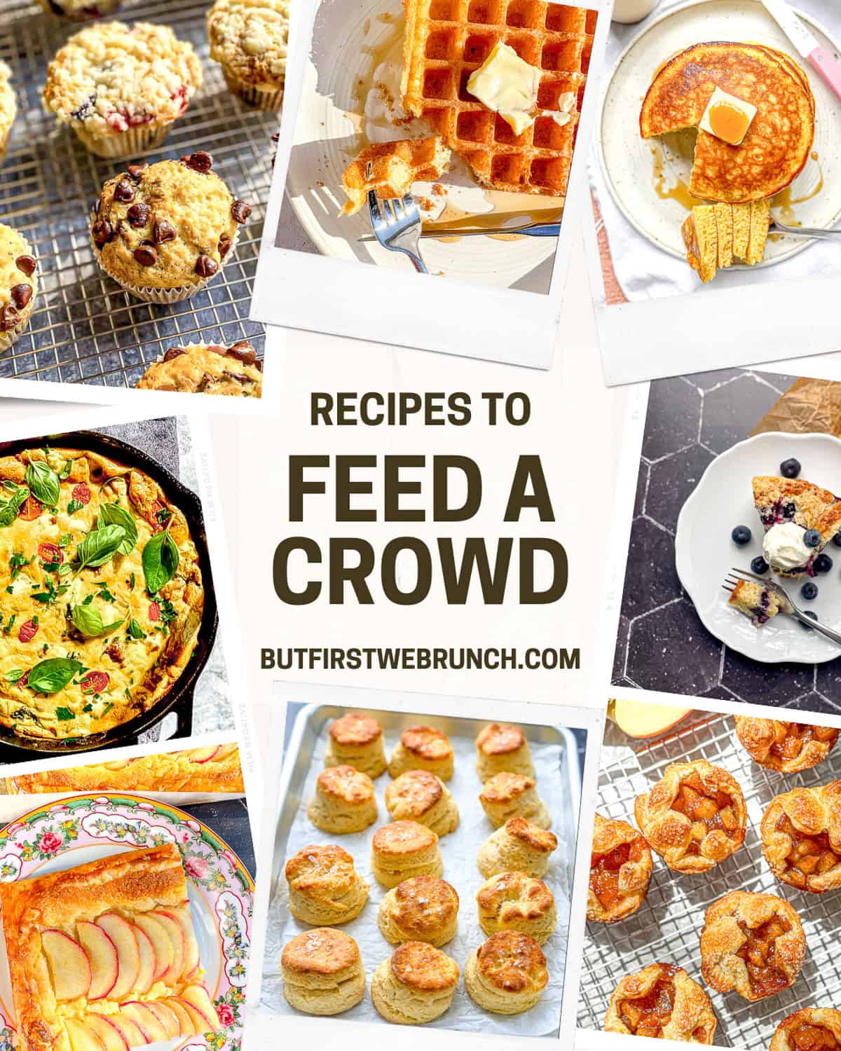 Collage of images depicting recipes that are great to feed a crowd.