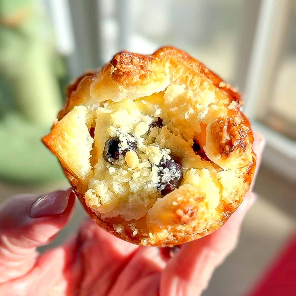 Hand holding a blueberry cheesecake croissant.