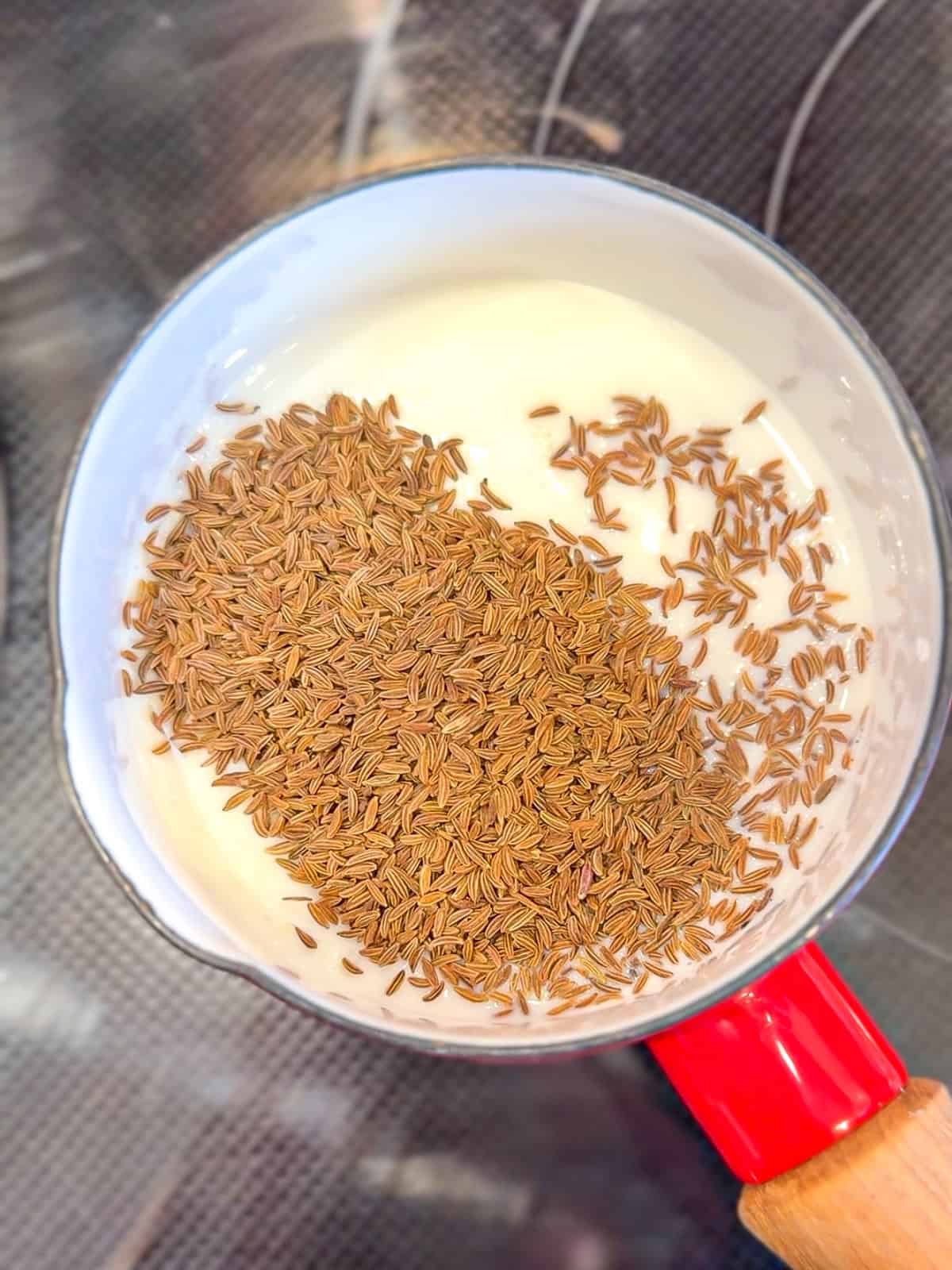 Adding caraway seeds to milk and water in a red sauce pan.