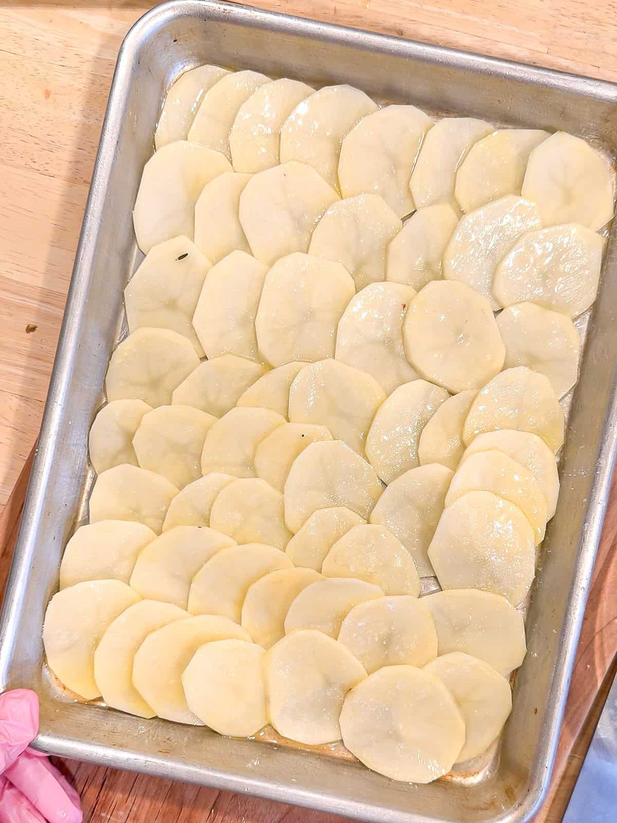 Shingled potatoes in a sheet pan.