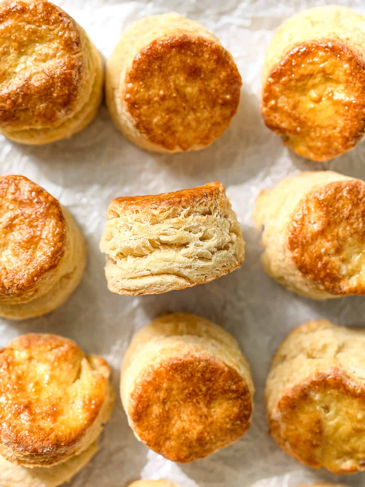 Biscuits made with milk on a parchment paper line sheet pan.