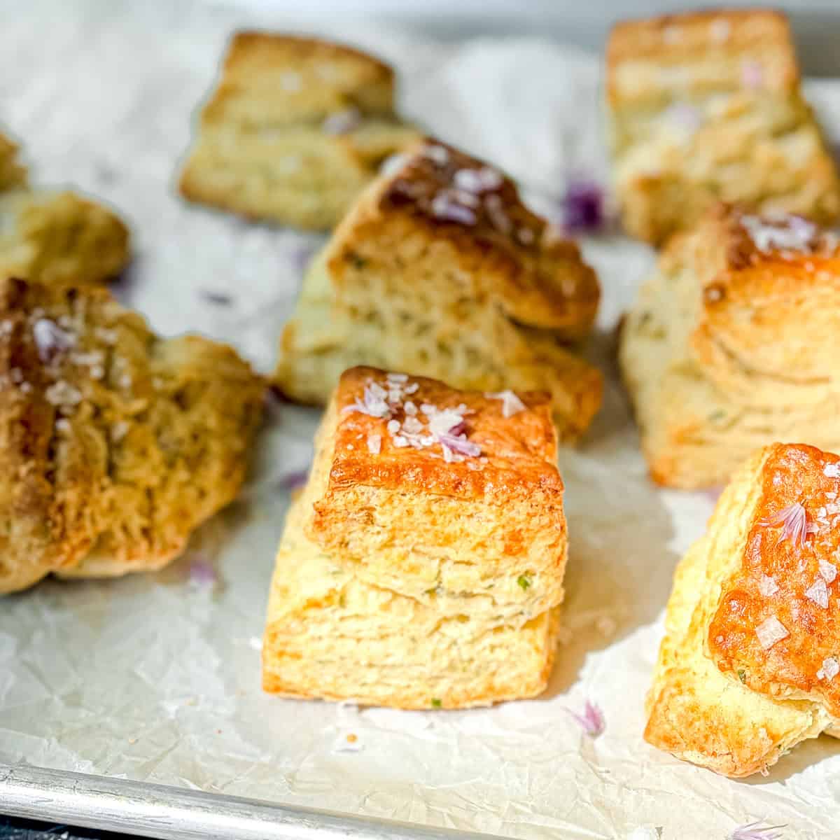 Chive blossom biscuits on parchment paper.