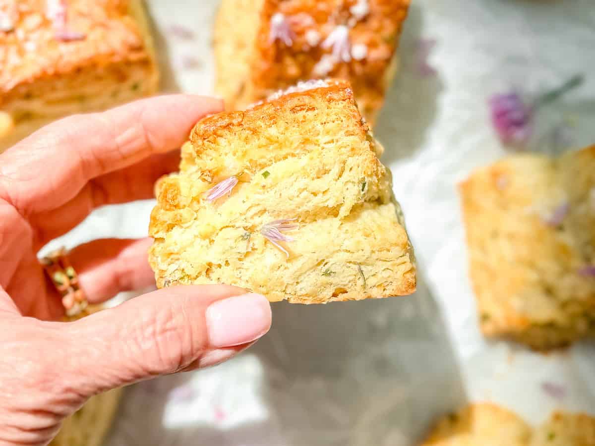Author's hand holding a chive blossom biscuit.