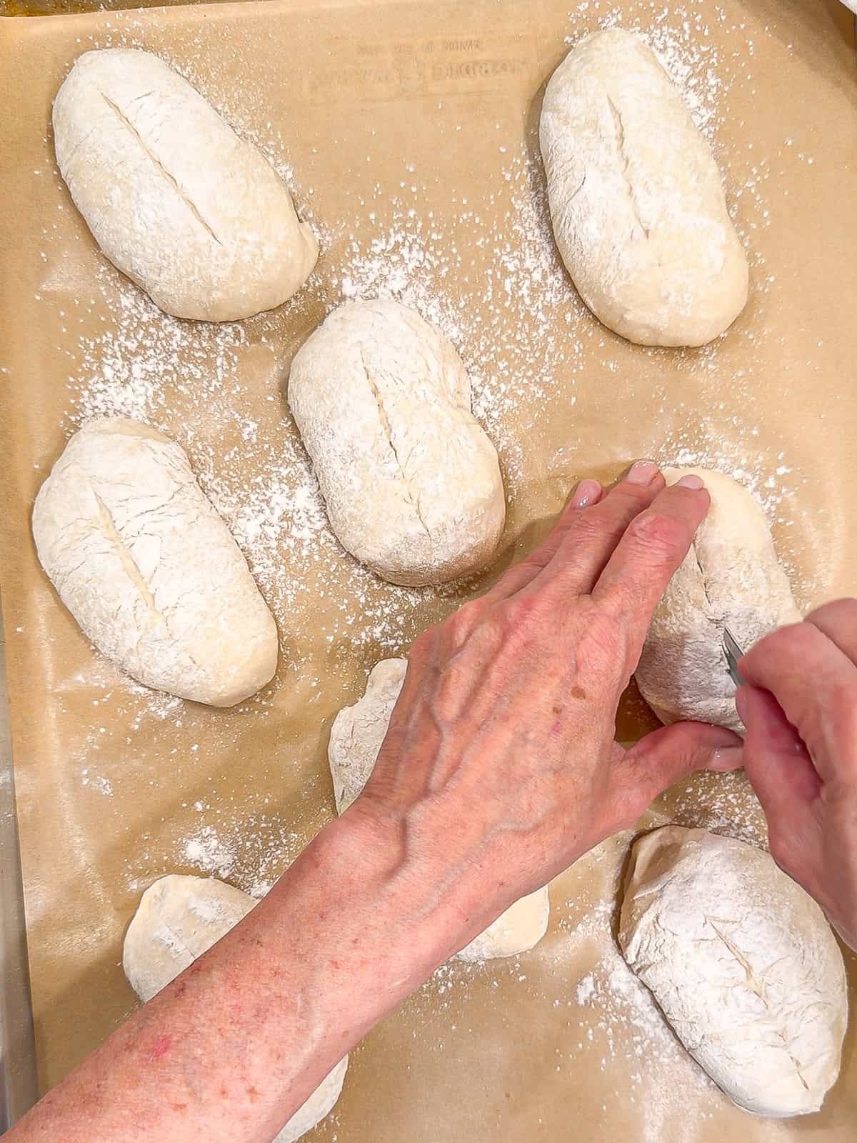 Crusty bread rolls scored and ready to bake.