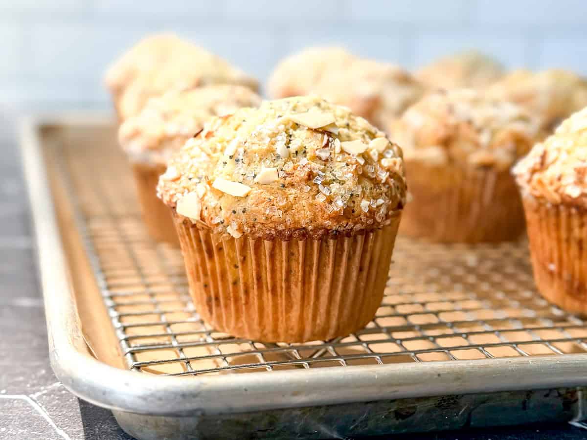 Side view of an almond poppy seed muffin on a wire rack set into a sheet pan.