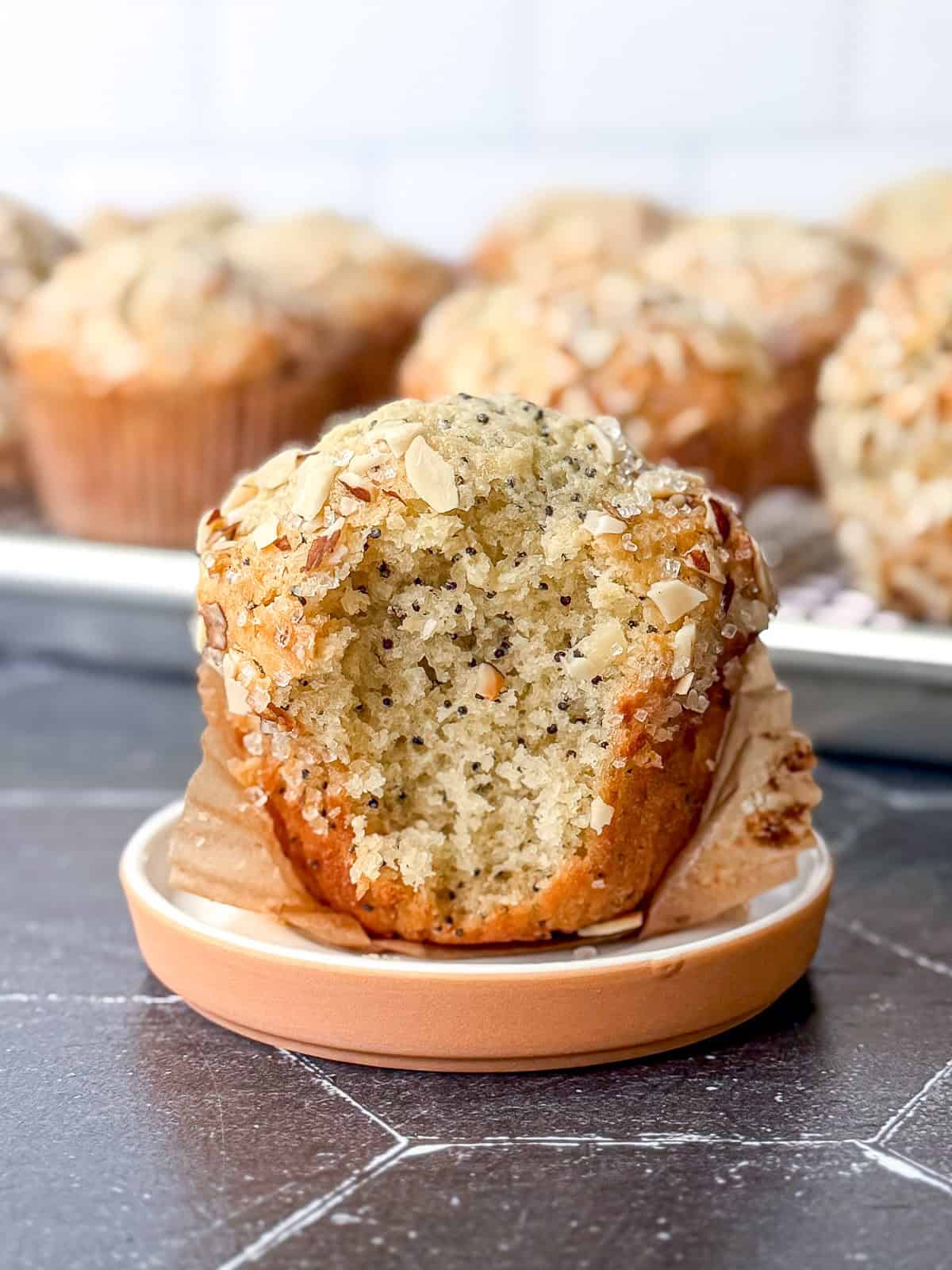 Side of view of an almond poppy seed muffin with a bite taken out.